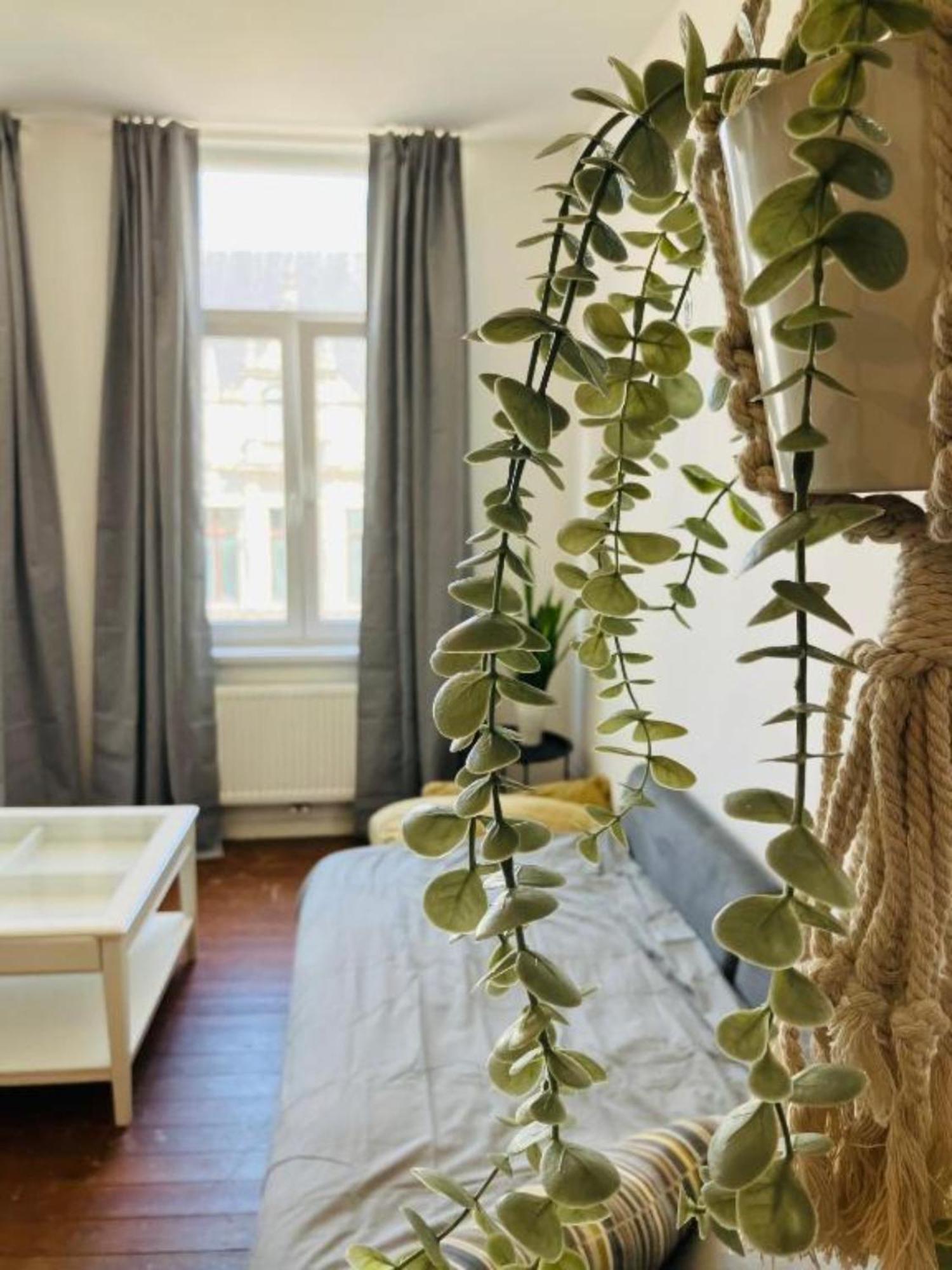 Bnb Suikernest Антверпен Екстериор снимка